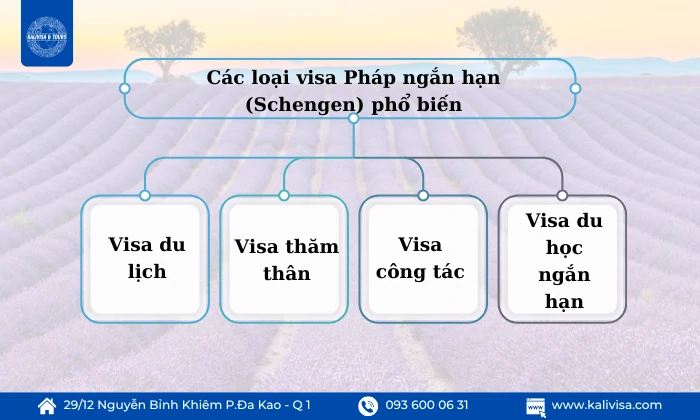 Các loại visa Pháp ngắn hạn (Schengen) phổ biến
