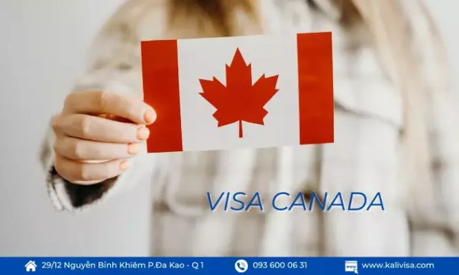 Cách kiểm tra tình trạng visa Canada sau khi nộp hồ sơ