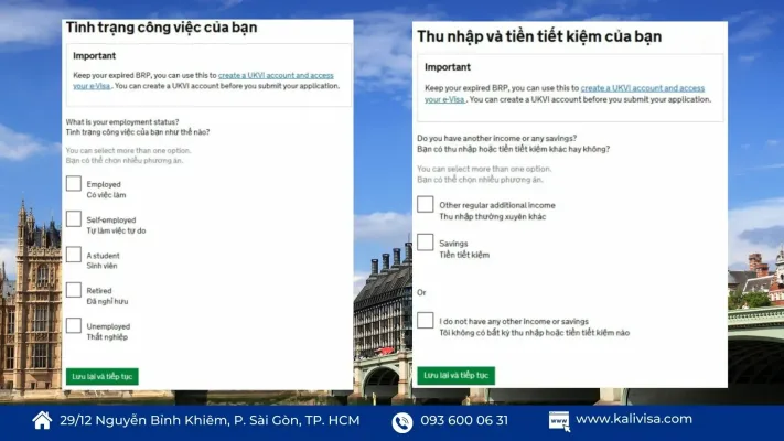 Bước 3: Cung cấp thông tin nghề nghiệp và thu nhập 