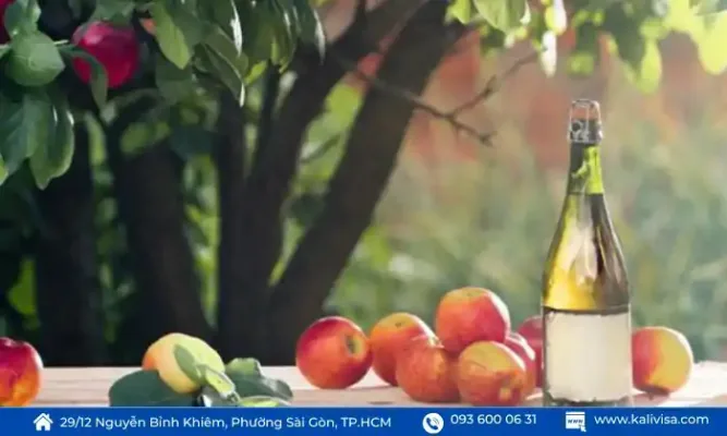 Rượu táo lên men (cider)