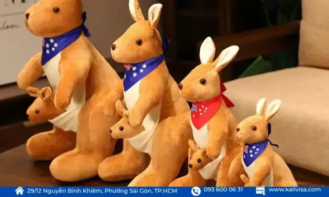Gấu bông kangaroo