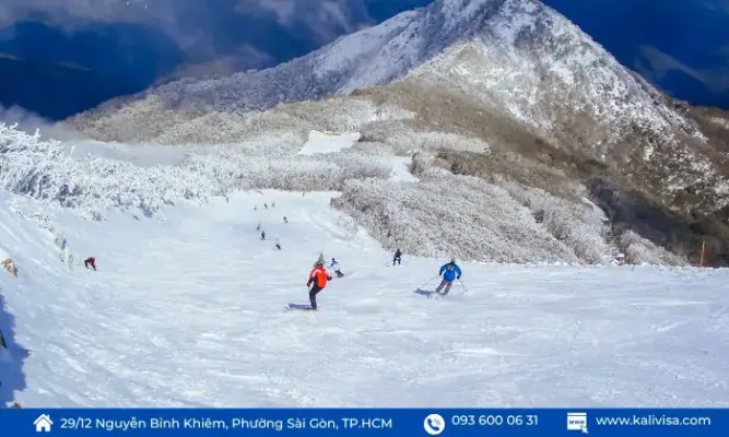 Núi Tuyết MT Buller